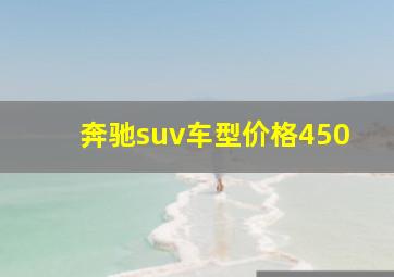 奔驰suv车型价格450