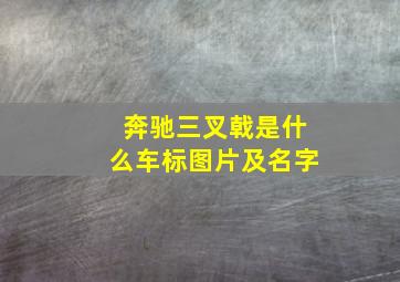 奔驰三叉戟是什么车标图片及名字