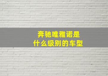 奔驰唯雅诺是什么级别的车型