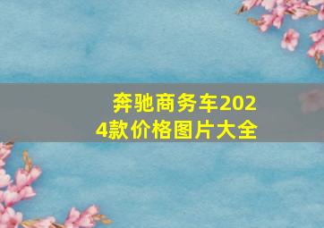 奔驰商务车2024款价格图片大全