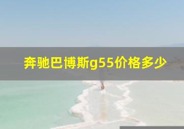 奔驰巴博斯g55价格多少