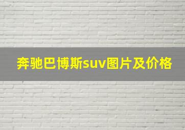 奔驰巴博斯suv图片及价格