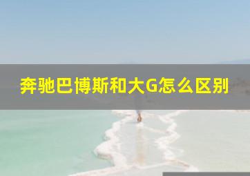 奔驰巴博斯和大G怎么区别