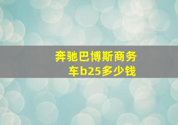 奔驰巴博斯商务车b25多少钱