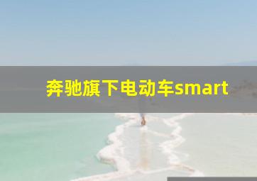 奔驰旗下电动车smart