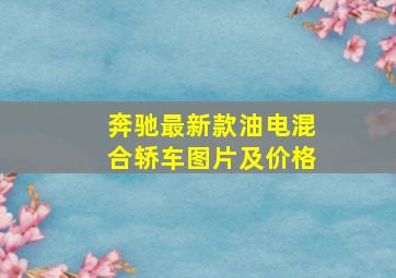 奔驰最新款油电混合轿车图片及价格