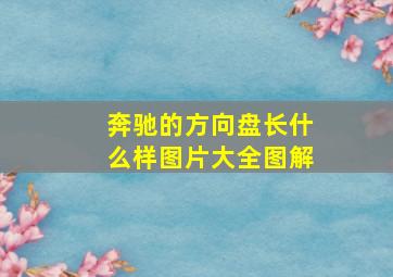 奔驰的方向盘长什么样图片大全图解