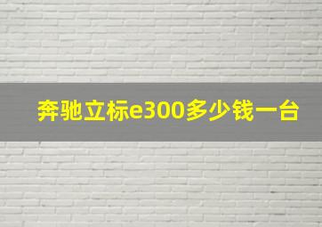 奔驰立标e300多少钱一台