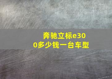 奔驰立标e300多少钱一台车型