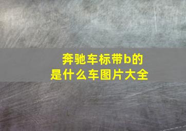 奔驰车标带b的是什么车图片大全