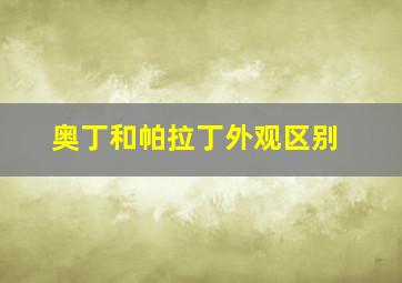 奥丁和帕拉丁外观区别