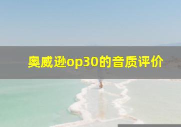 奥威逊op30的音质评价