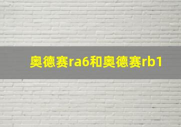 奥德赛ra6和奥德赛rb1