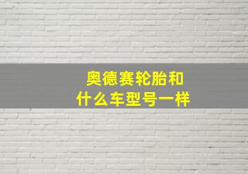 奥德赛轮胎和什么车型号一样