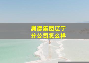 奥德集团辽宁分公司怎么样