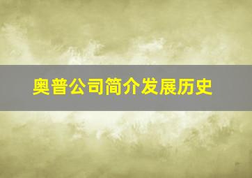 奥普公司简介发展历史