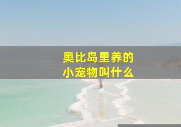 奥比岛里养的小宠物叫什么