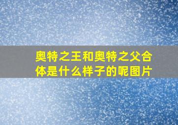 奥特之王和奥特之父合体是什么样子的呢图片