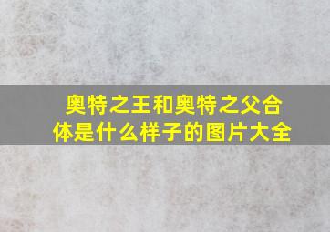 奥特之王和奥特之父合体是什么样子的图片大全