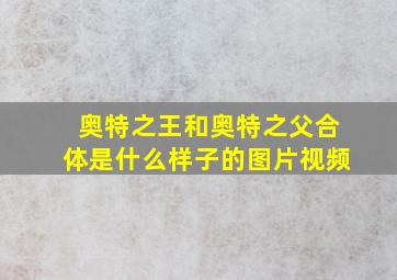 奥特之王和奥特之父合体是什么样子的图片视频