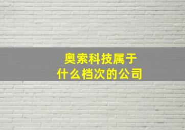 奥索科技属于什么档次的公司