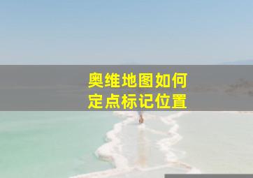 奥维地图如何定点标记位置