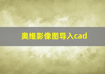 奥维影像图导入cad