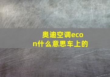 奥迪空调econ什么意思车上的