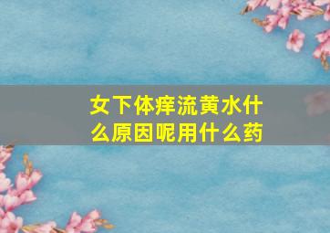 女下体痒流黄水什么原因呢用什么药