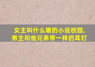 女主叫什么暖的小说校园,男主和他兄弟带一样的耳钉