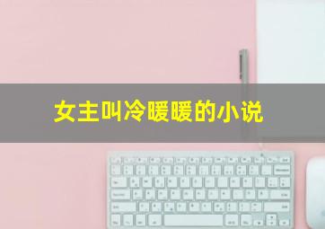 女主叫冷暖暖的小说