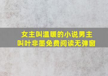 女主叫温暖的小说男主叫叶非墨免费阅读无弹窗