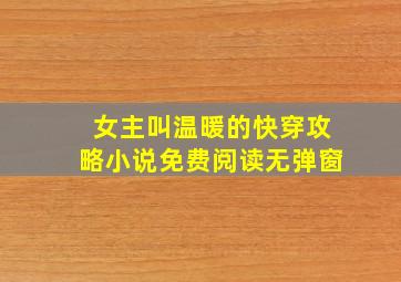 女主叫温暖的快穿攻略小说免费阅读无弹窗