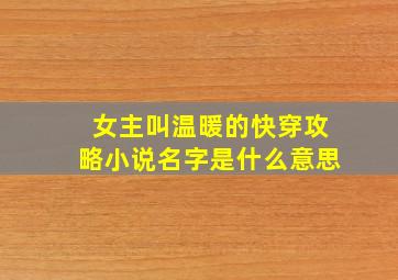 女主叫温暖的快穿攻略小说名字是什么意思