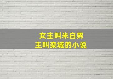 女主叫米白男主叫栾城的小说