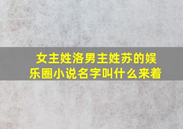 女主姓洛男主姓苏的娱乐圈小说名字叫什么来着