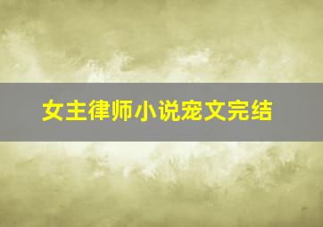 女主律师小说宠文完结