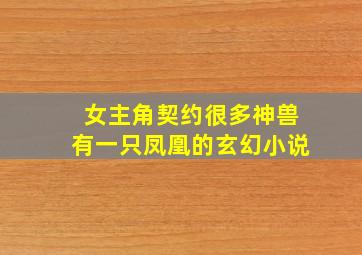 女主角契约很多神兽有一只凤凰的玄幻小说