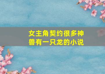 女主角契约很多神兽有一只龙的小说