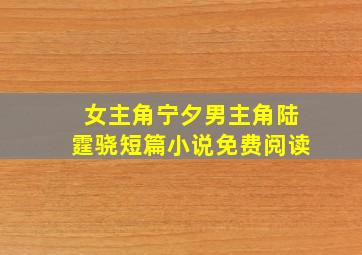 女主角宁夕男主角陆霆骁短篇小说免费阅读