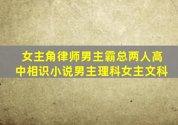 女主角律师男主霸总两人高中相识小说男主理科女主文科