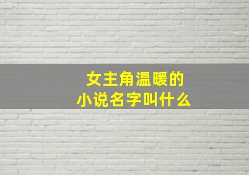 女主角温暖的小说名字叫什么