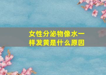 女性分泌物像水一样发黄是什么原因