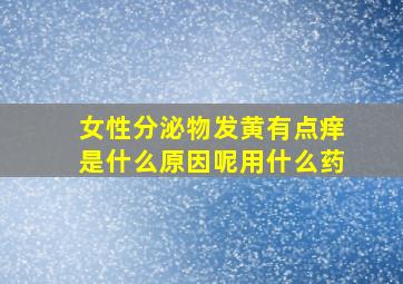 女性分泌物发黄有点痒是什么原因呢用什么药