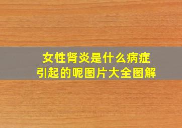 女性肾炎是什么病症引起的呢图片大全图解