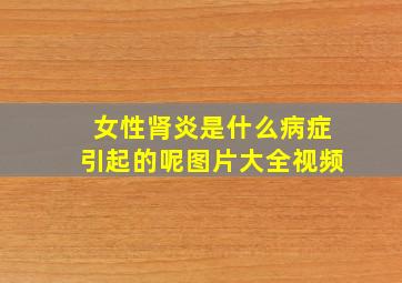 女性肾炎是什么病症引起的呢图片大全视频