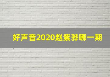 好声音2020赵紫骅哪一期