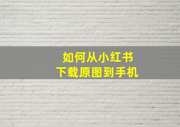 如何从小红书下载原图到手机