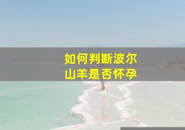 如何判断波尔山羊是否怀孕