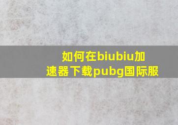 如何在biubiu加速器下载pubg国际服